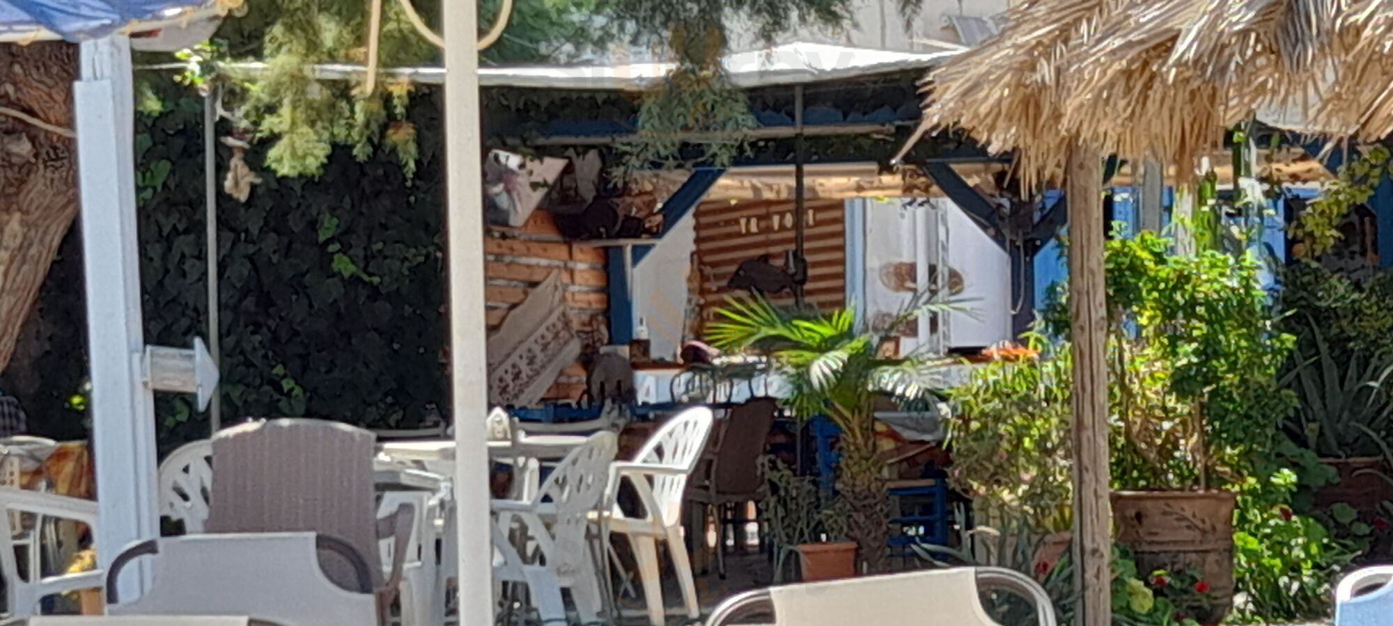 Restaurant - Tavern Thalassa