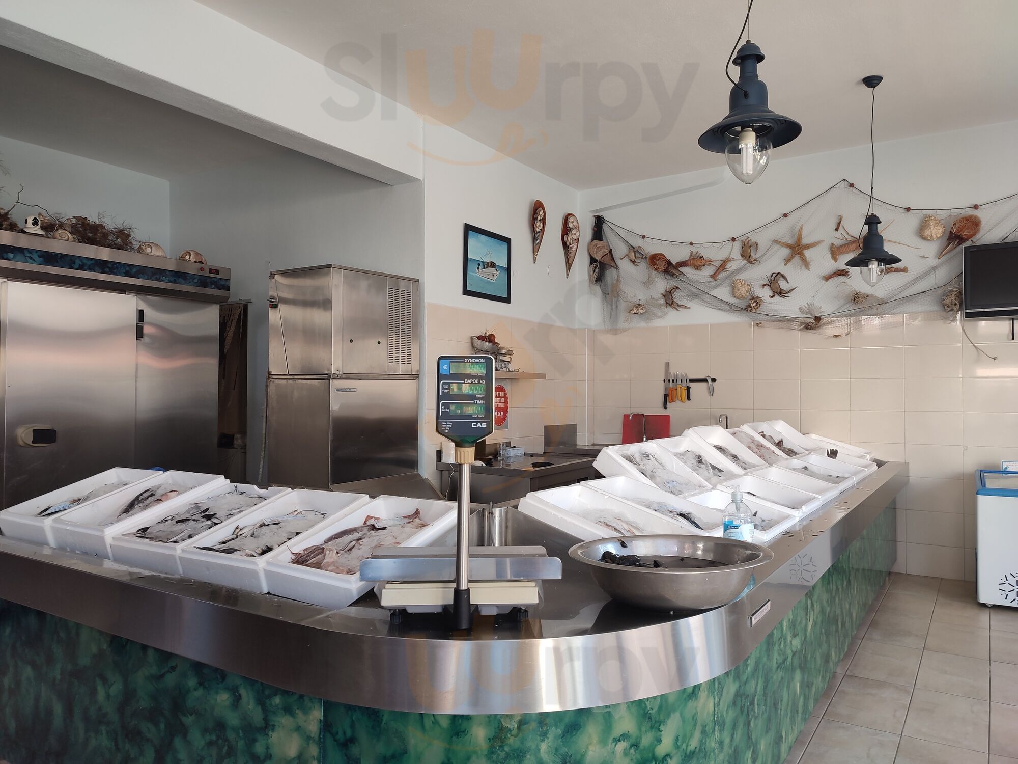 Fish Shop To Grigri (mitsokopi)