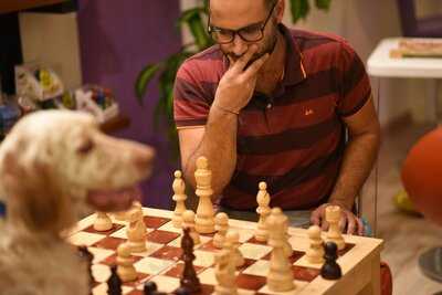 Crystal Lotus Play Cafe