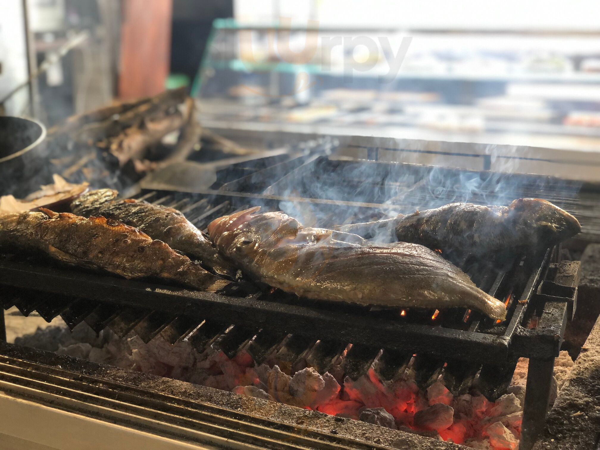 Fish And Show
