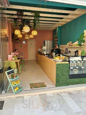 Toucan Squeeze Your Day