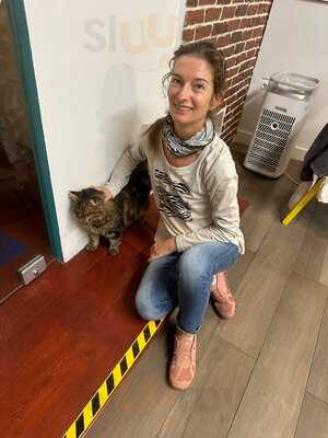 Cat Cafe Athens