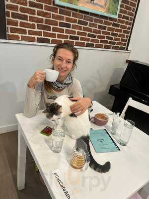 Cat Cafe Athens