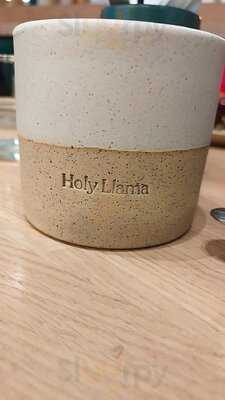 Holy Llama