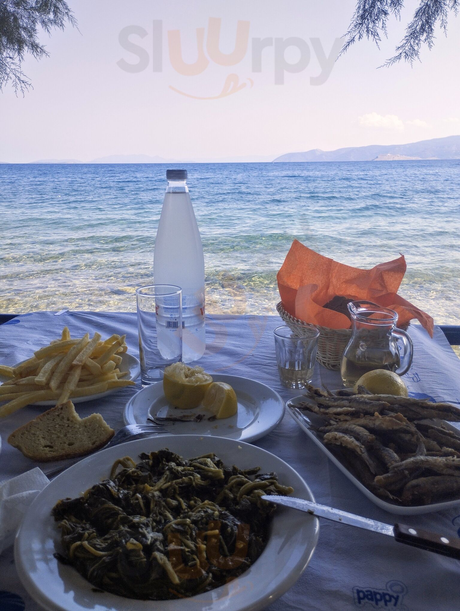 Παλίρροια