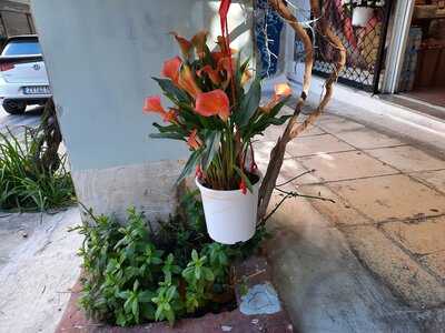 Moiropoulos Dimitrios George