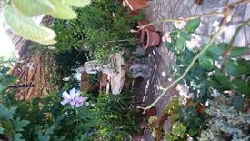 Restaurant Mastrinka