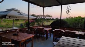 Pizzeria Papillon