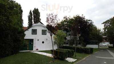 A Most Unusual Garden