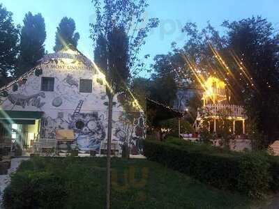 A Most Unusual Garden