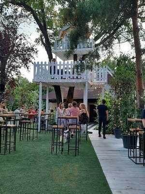 A Most Unusual Garden