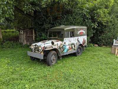 A Most Unusual Garden