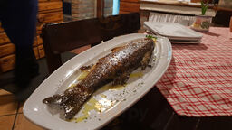 Marusina Olive Hills