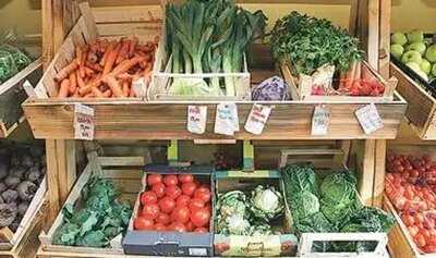 Povrce I Voce Svemoguce