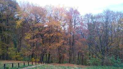 Planinarski Dom Risnjak