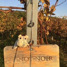 Vylyan Szőlőbirtok és Pincészet