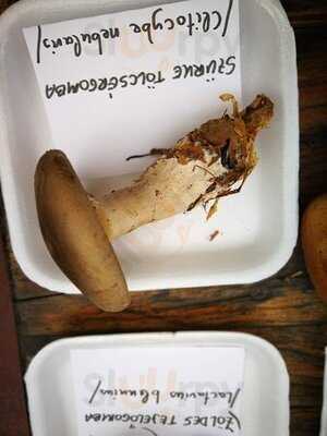 Élesztő Kézműves Söröző