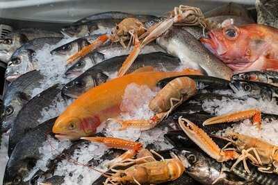 The Bigfish Seafood Bistro