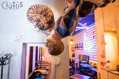 Circus Bar