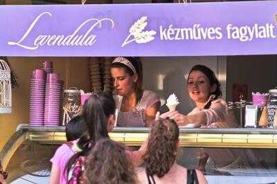 Levendula Kézműves Fagylaltozó Akvárium