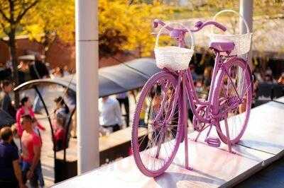 Levendula Kézműves Fagylaltozó Akvárium