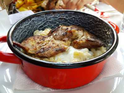 Pelikan Gatorhaz Bufe