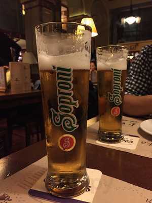 Mania Hungarian Restaurant