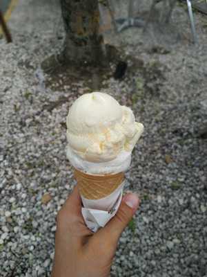 Koller Bacsi Cukraszdaja