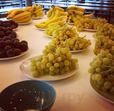 Bisztronomia Fakultacio