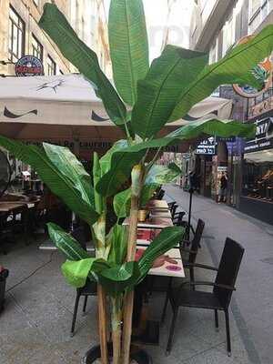 Viet-thai Restaurant