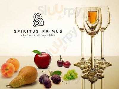 Spiritus Primus Palinka