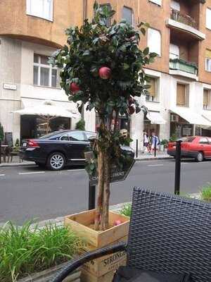 Isolabella Cafe & Pub