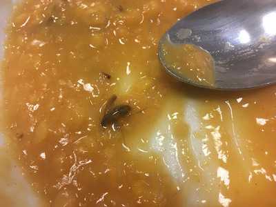 Főzelékfaló Ételbár