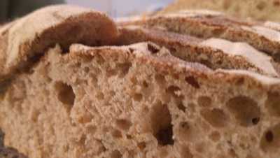 Tortuga és Pohánka