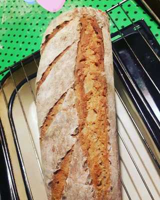 Tortuga és Pohánka