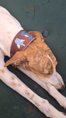 Dehogynem Kávéműhely