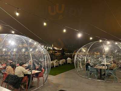 Boatanic Terrace And Bar