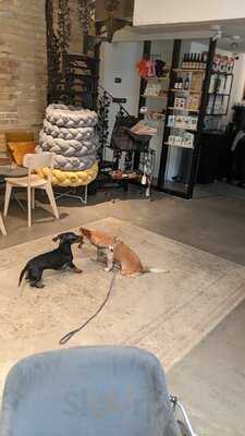 The Dog Bakery Budapest