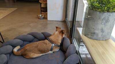 The Dog Bakery Budapest