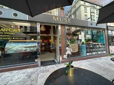 Cafe Muse