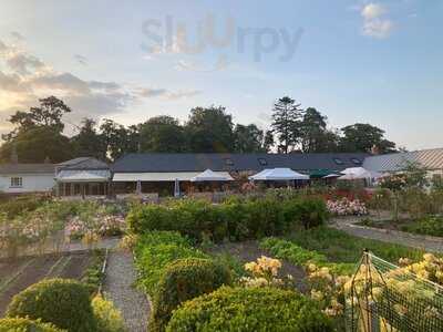 The Duck Terrace Restaurant At Marlfield House