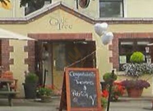 The Oak Tree Bar & Lounge