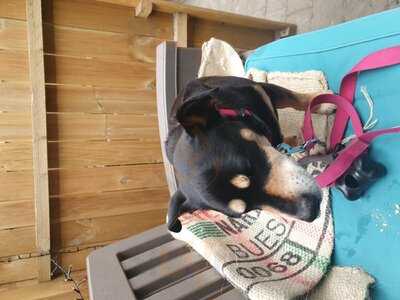 Creed Coffee Roasters