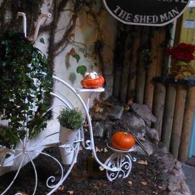 Country Store & Cafe Timbertrove