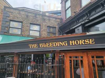 Bleeding Horse