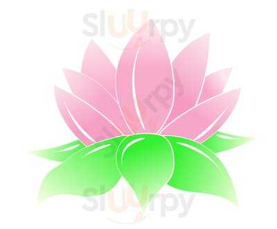 Lotus Chinese Restaurant