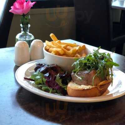 Appatizers Bistro Cafe