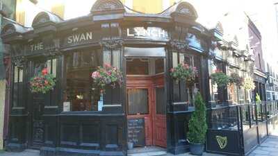 The Swan