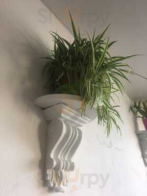 Langford Row Coffee & Music Store