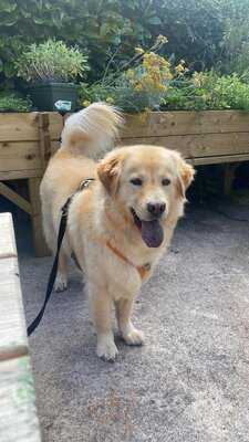 Ravenscourt Garden Centre & Cafe